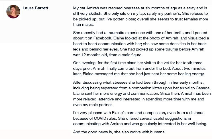 Laura Barrett Testimonial